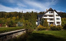 Pensiunea Almas Hotel Piatra Neamţ Exterior photo