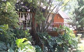 Treetops & Treats Guest House Pretoria-Noord Exterior photo