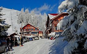 Complex Turistic Alpina Blazna Sant Hotel Exterior photo