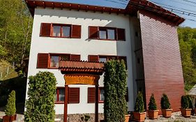 Pensiunea Eva Bed & Breakfast Sovata Exterior photo