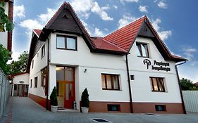 Pensiunea Transilvania Hotel Sibiu Exterior photo