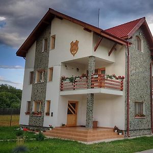 Pensiunea Colț de rai Hotel Polovragi Exterior photo