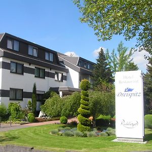 Dreispitz -B&B-Hotel Garni Hofheim am Taunus Exterior photo