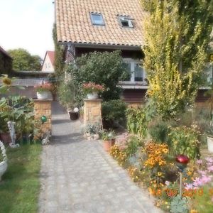 Vermiete Sehr Schoenes Apartment In Dankerode Im Harz Exterior photo