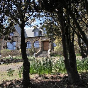 The Great House Bnb Bed & Breakfast Buckland Exterior photo