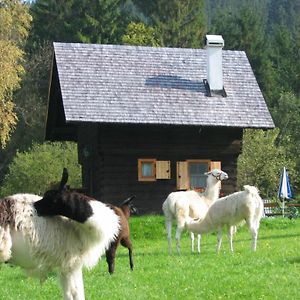 Huette Zum Verlieben Villa Gurk Exterior photo