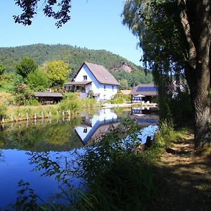 au numéro 6 Bed & Breakfast Obersteinbach Exterior photo