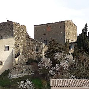 Château de Pieusse Bed & Breakfast Exterior photo