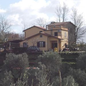 Il Gelsomino Bed & Breakfast Frasso Sabino Exterior photo