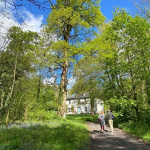 Blackhill Woods Retreat Guest House Abbeyleix Exterior photo