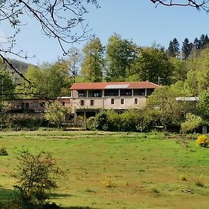 B And B Sycomore, La Bouriotte Bed & Breakfast Labastide-Rouairoux Exterior photo