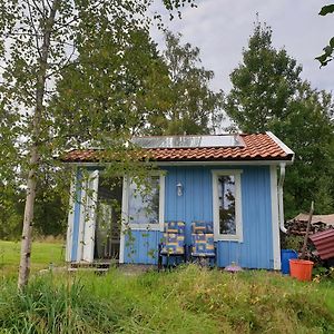 Gaeststuga I Vacker Natur, Bastu, Bubbelpool Sommartid Och Gratis Parkering, Guesthouse With Nice View With Sauna And Free Parking Close To Dalsjoefors And Fishing Borås Exterior photo