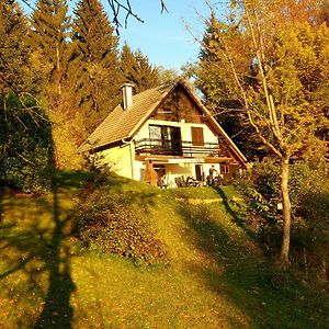 Alpinejka House Villa Tržič Exterior photo