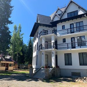 Pensiunea Valea Pintei Hotel Vatra Dornei Exterior photo