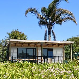 Mount And Surf View Cabin Hotel Pataua Exterior photo