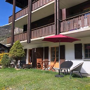 Le Cerf, Magnifique Studio Avec Jardin-Terrasse Et Garage Apartment Evolène Exterior photo