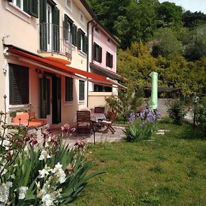 Alle Rose Barcolane Bed & Breakfast Triest Exterior photo