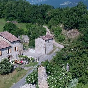 SacreTerre B&B e Agriturismo Tizzano Val Parma Exterior photo