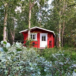 Bakkakot 3 Cozy Cabin In The Woods Apartment Akureyri Exterior photo
