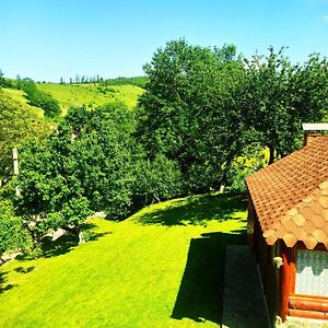 Садиба" У Василя" Bed & Breakfast Volovăţ Exterior photo