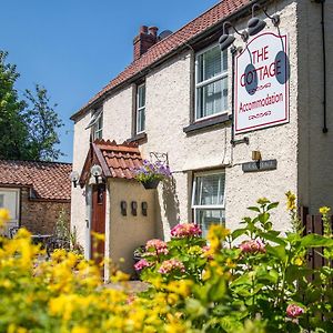 The Cottage Bristol Exterior photo