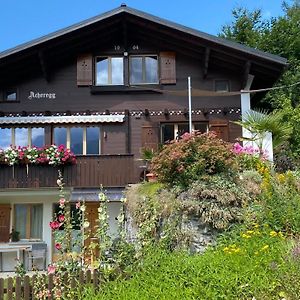 Chalet Acheregg Apartment Wengen Exterior photo