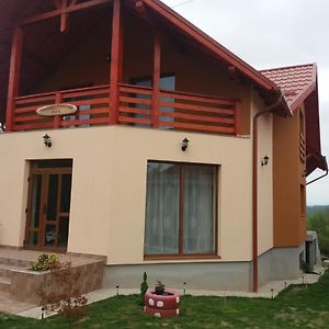 Pensiunea agroturistica Primavara Bed & Breakfast Diosod Exterior photo