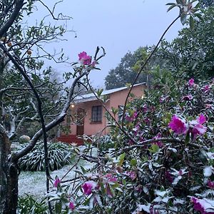 Whinstone Farm Apartment Greytown Exterior photo