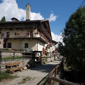 Sci E Montagna Vera Apartment Pragelato Exterior photo