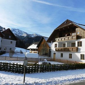 Baby- Und Kinderbauernhof Riegler Hotel Rossleithen Exterior photo