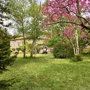 Château de Cartou Bed & Breakfast Duffort Exterior photo