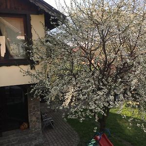 Pensiunea DARMA Hotel Rîşnov Exterior photo