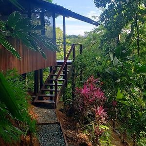 Finca La Bonita, Playa Carate Villa Exterior photo