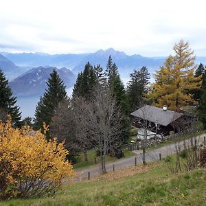 Rigirolle Apartment Rigi Kaltbad Exterior photo