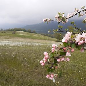 La Bicocca Bed & Breakfast Bobbio Exterior photo