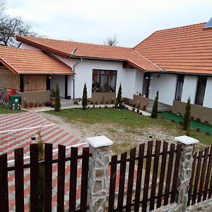 Pensiunea Narcisa cu Ciubar Hotel Malaesti Exterior photo