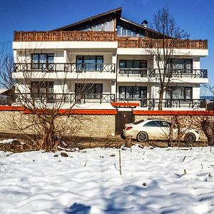 Family Hotel Andreev Dobriniște Exterior photo