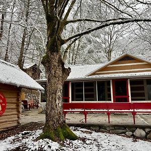 Beary Relaxing Cabin - Rustic With Outdoor Patio Villa Townsend Exterior photo