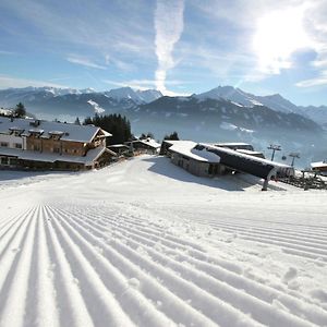 Elegant Chalet With Sauna In Mittersill Salzburg Apartment Hollersbach im Pinzgau Exterior photo