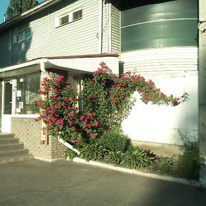 Motel Pid Strihoyu Kremenciuk Exterior photo