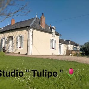 Studio "Tulipe" Dans Le Berry Apartment Les Bordes Exterior photo