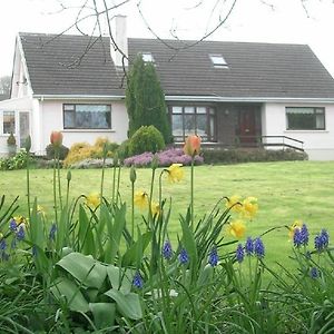 Glen Na Smole Bed & Breakfast Wicklow Exterior photo