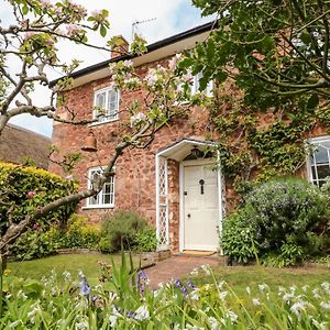 Vine Cottage Minehead Exterior photo