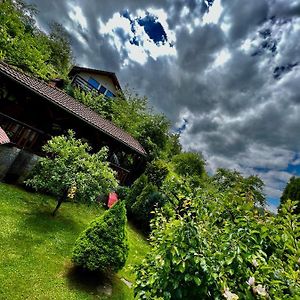 Cabana Vânătorilor Villa Poiana Mărului Exterior photo