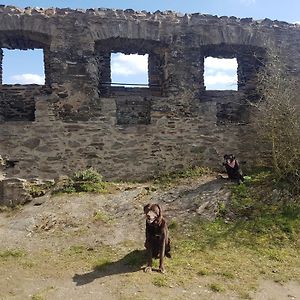 Ferienhaus Leopold Mit Burgblick An Der Mosel Apartment Burgen  Exterior photo