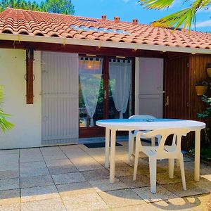 « La Palmeraie » Villa Residentielle Avec Piscine La Palmyre Exterior photo