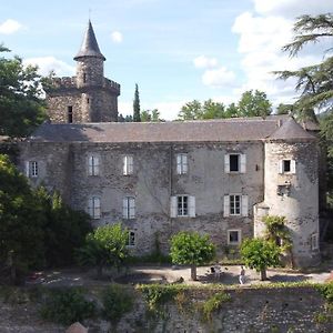 Le Château de Cambiaire Bed & Breakfast Saint-Etienne-Vallee-Francaise Exterior photo