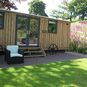 Little Acorn - Luxury Shepherd'S Hut / Lodge With Private Hot Tub And Garden Llanfyllin Exterior photo