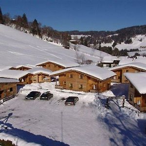 Chalets Bungalows Almdorf Wildschonau Exterior photo