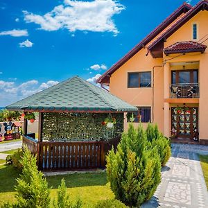 Pensiunea Adrian Hotel Novaci Străini Exterior photo